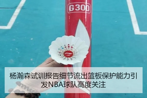 杨瀚森试训报告细节流出篮板保护能力引发NBA球队高度关注
